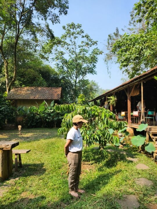 Peserta Meditasi Kopi mengamati pohon kopi di halaman Rumah KopI Ranin